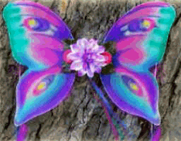 Img103.png
