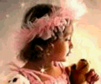 pinkrosefairygarlandcrop11.png