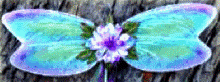 Img203.png