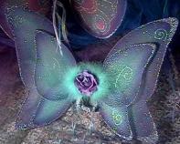 Img215.jpg