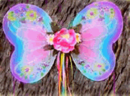 Img253.png