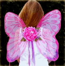 Img318.png