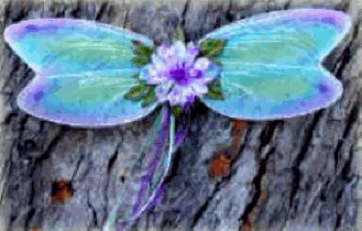 Img321.png