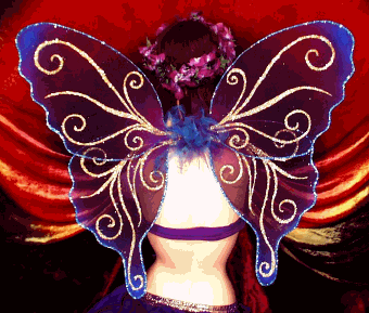 wings001.png