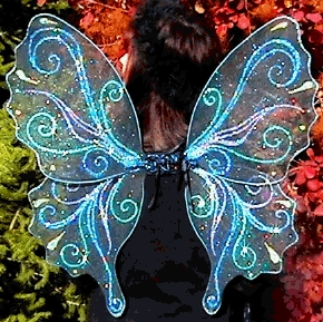blackwings4crop.png