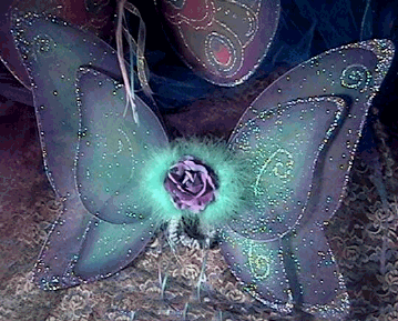 aquawingscrp.png