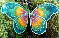 Img433.png