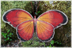butterflyorangered.png