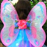 fairy wings 06.jpg
