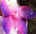 fairy wings 13.jpg