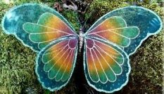 fairy wings 15.jpg
