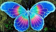fairy wings 14.jpg