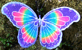 fairy wings 20.gif