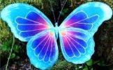 fairy wings 161.jpg