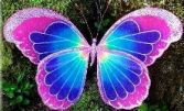 fairy wings 181.jpg