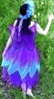 Img550.jpg