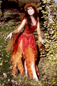 Img558.gif