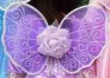 wings_crystal_lilac_01.jpg