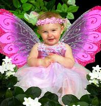 baby-fairy-pink-wings.jpg