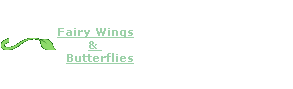Fairy Wings &  Butterflies