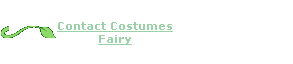 Contact Costumes Fairy